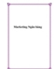 Tài liệu QTKD NHTM – Marketing Ngân hàng