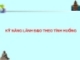 Kỹ năng lãnh đạo theo tình huống
