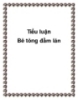 Tiểu luận Bê tông đầm lăn