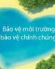Đề tài nghiên cứu: Thực trạng ô nhiễm tài nguyên đất và các giải pháp khắc phục ở nước ta hiện nay