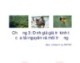 Bài giảng Kinh tế môi trường: Chương 3 - Nguyễn Quang Hồng