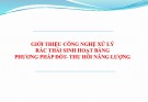 Bài giảng Giới thiệu công nghệ xử lý rác thải sinh hoạt bằng phương pháp đốt, thu hồi năng lượng