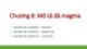 Bài giảng Tinh thể - Khoáng vật - Thạch học - Chương 8: Mô tả đá magma